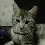 Emily Goebel - @goebel.emily - Instagram