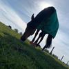 Emily_Goodyear_05 - @emily_goodyear_05 - TikTok