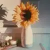 emilygrass3 - @emilygrass3 - TikTok