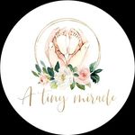 Emily Graybill - @a_tiny_miracle_doula - Instagram