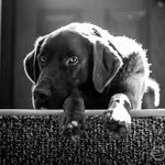 Emily Greenfield Photography - @emily_greenfield_photography - Instagram