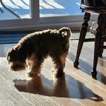 Emily Grenier - @fritz_0318 - Instagram