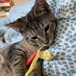 Emily Gripp - @emilyg.crochet - Instagram