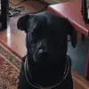 Emily Guy - @emily._.guy - TikTok