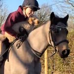 Emily guy - @emily.and.biscuit - Instagram
