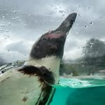 Emily Guy Hawthorne - @emilyjghphotography - Instagram
