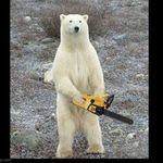 Emily Haggerty - @lightweghit_polarbear_ - Instagram