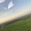 Emily Halpin - @emily.halpin7 - TikTok