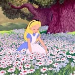 Emily Hamill - Facebook