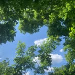 Emily Hardaway - Facebook