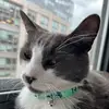 emharmsway - @emily_harms - TikTok