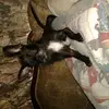 Emily Harrell - @emily.harrell - TikTok