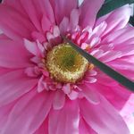 Emily Haug - @haug_emily - Instagram