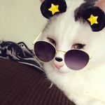 Emily Hausmann - @emily_hausmann1522 - Instagram