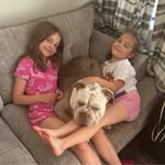 Emily Healey - @emyloufox - Instagram