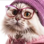 Emily Herr - Facebook