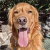 Emily Hilding - @emily.hilding - TikTok