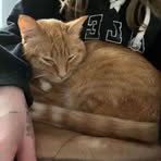 Emily Holley - Facebook