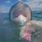 Emily Houle - Facebook