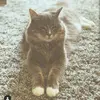 Emily Hruska - @doctorpear - TikTok