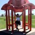 Emily Ingalls - Facebook