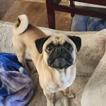 Emily Isaacson - @emilyisaacson8 - Instagram