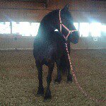 Emily Diekert - @emily_janke_11 - Instagram