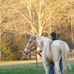 Emily Jarrell - Facebook