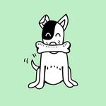 Emily Jefferson - @auntieems.petservices - Instagram