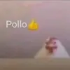 emilyjonas17 - @emilyjonas17 - TikTok