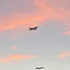 emilyjonas7 - @emily.jonas2 - TikTok
