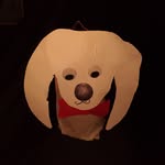 EmiLy Kehl - @kehl_emily - Instagram
