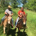 Emily Kersten Workman - @kerstenworkman - Instagram