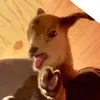 Emily - @emily_keylor - TikTok