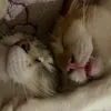 Maika - @emilyoki1 - TikTok