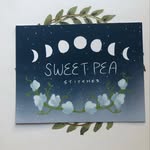 Emily Kimball - @sweet_pea_stitches - Instagram