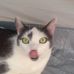 Emily Kipp - Facebook
