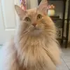 Emily Koehler - @emilykoehler5 - TikTok