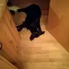 Emily Köhn - @lilly_lucy1234 - TikTok