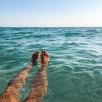 Emily_krantz - @emily_krantz - Instagram