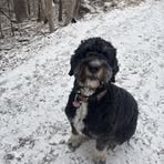 Emily Lade - Facebook