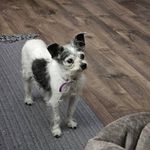 Emily Brown Lanham - @emilybrownlanham - Instagram