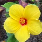 Emily Lanham - @photography._.7277 - Instagram