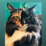 Emily Paige Lanham - @animal_.tography8288 - Instagram