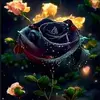 emilylanham74 - @emilylanham74 - TikTok