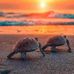 Emily Layne - Facebook