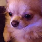 Emily Leclercq - Facebook