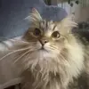 emily - @emilyyledbetter - TikTok