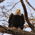 Emily Leeper - @emilyleepernaturephotography - Instagram