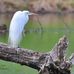 Emily Leeper Nature Photography - Facebook